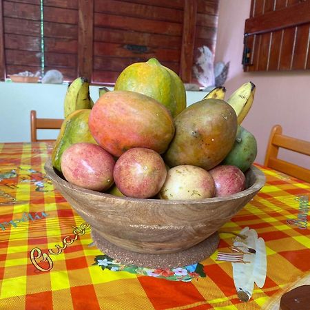 旧阿比唐Cocon Tropical公寓 外观 照片