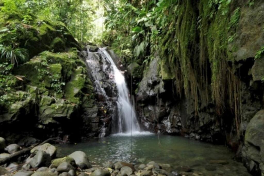 旧阿比唐Cocon Tropical公寓 外观 照片